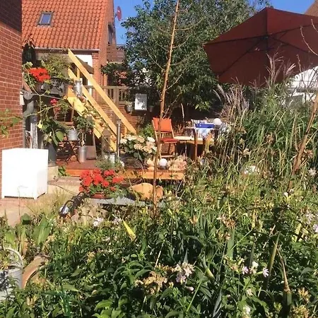 Schwalbennest_ Silke Felix *