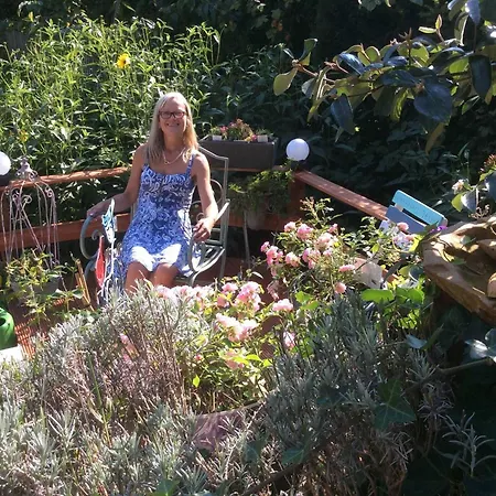 Schwalbennest_ Silke Felix *